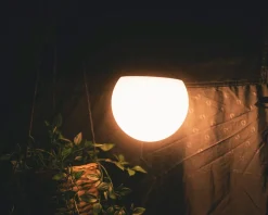 Rigel lamp