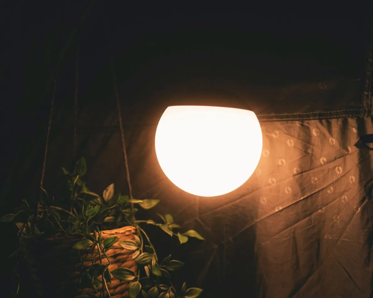 Rigel lamp
